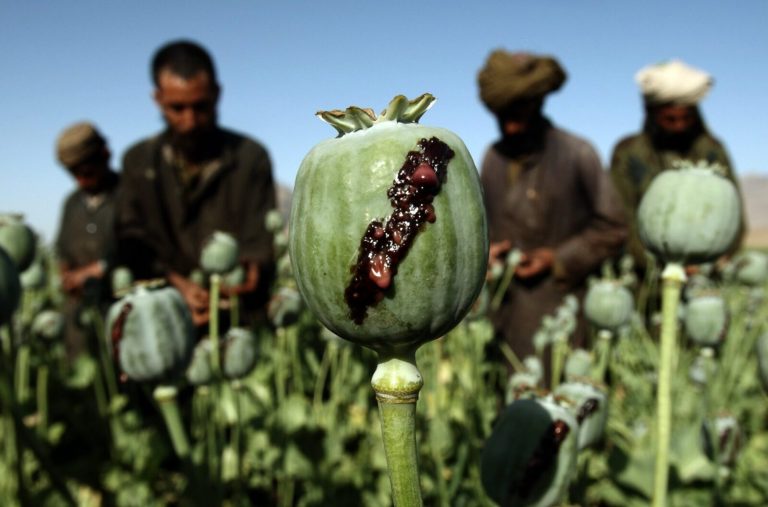 Afghan heroin trafficking and control