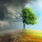 Climate change and technology: survival race