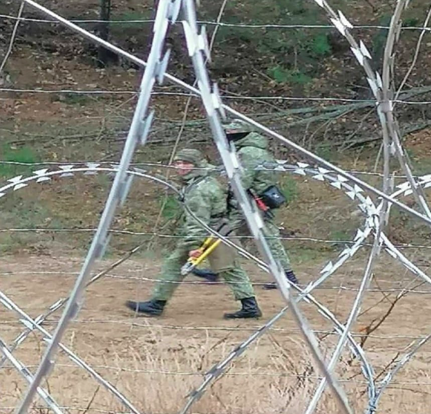 aux 1636035857 image 2021 11 04T14 23 46 714Z