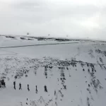 Damage to SvalSat cable proves Russia further upping stakes