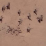 The Kremlin keeps attacking France in Africa to divert attention from war crimes in Ukraine