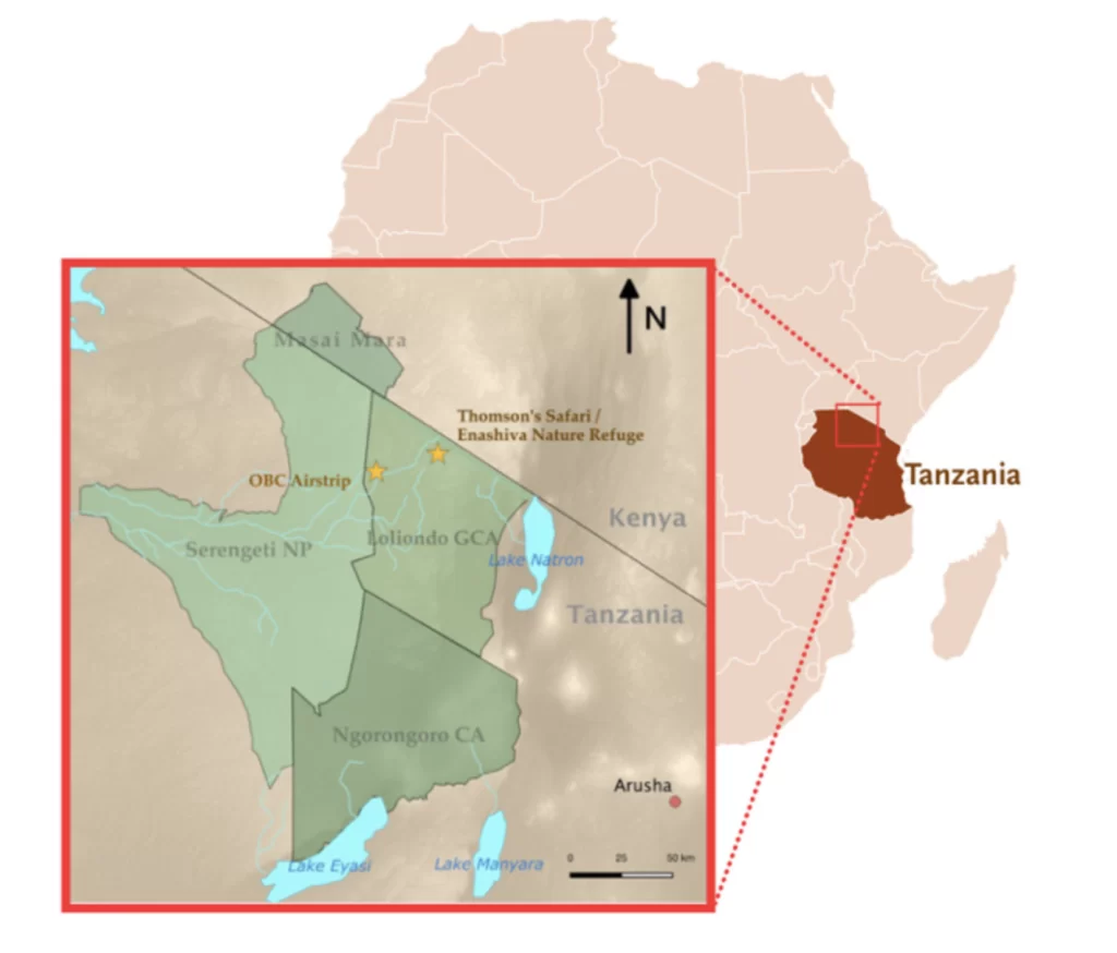 Screen Shot 2022 02 18 at