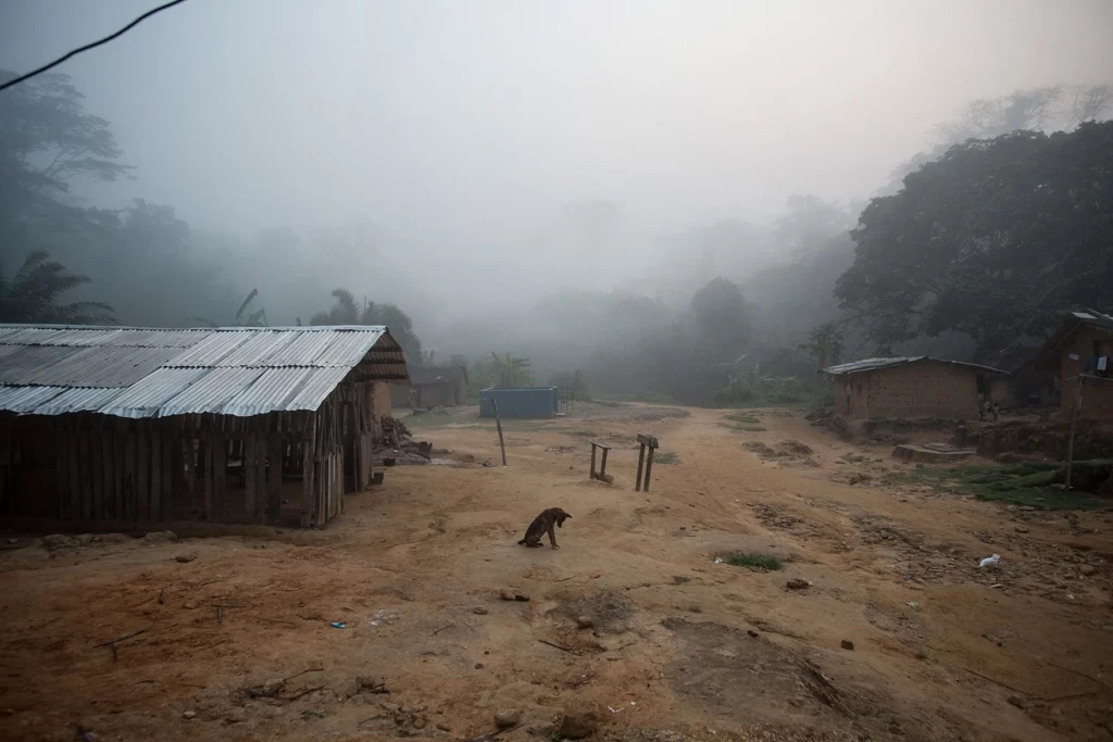 jonny pickup amba land ambazonia cameroon nigeria conflict war photography photojournalist photo jungle machete dog guard