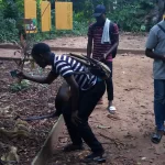 Nature Reserves Provide a Strategic Advantage for Insurgents in Benin