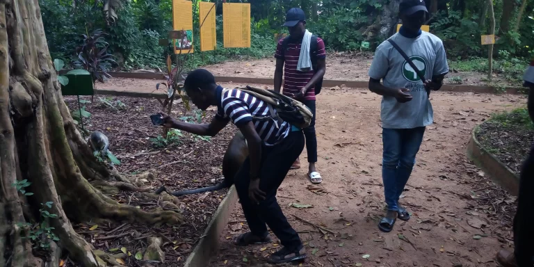 Nature Reserves Provide a Strategic Advantage for Insurgents in Benin