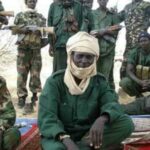 Assessment of domestic and external risk factors for toppling the government of Chad