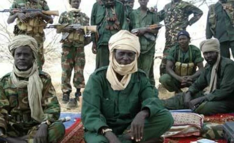 Assessment of domestic and external risk factors for toppling the government of Chad