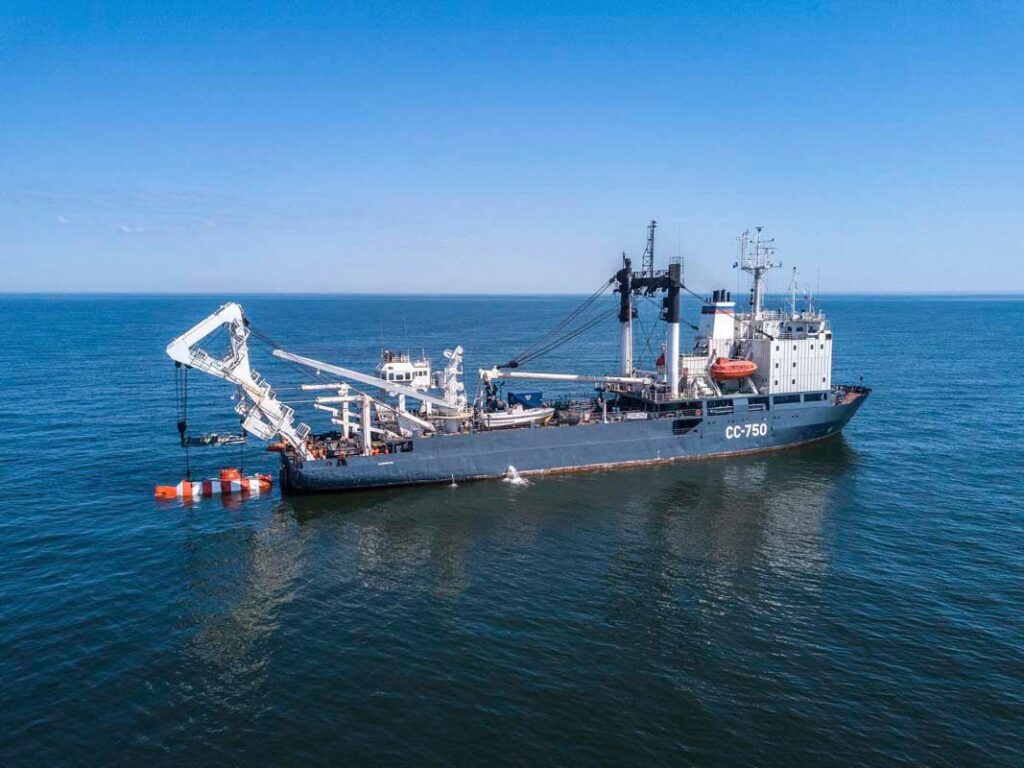 75640746 2678531082389631 3481763096455439708 n