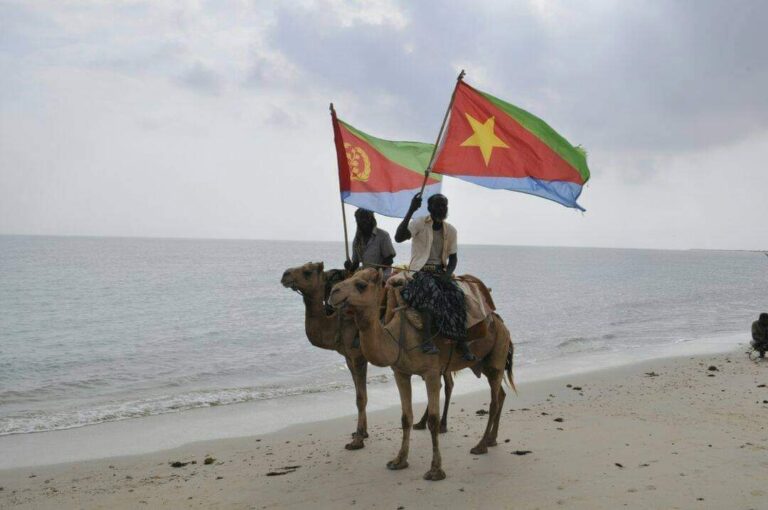 Estimations: Will Ethiopia and Eritrea start military conflict over Red Sea ports access