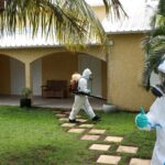 Warning: growing risks of virus spread in Europe