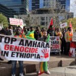 The Amhara Insurgency: External Influences and the Evolving Geopolitical Landscape in Ethiopia
