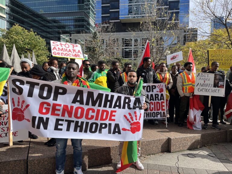 The Amhara Insurgency: External Influences and the Evolving Geopolitical Landscape in Ethiopia