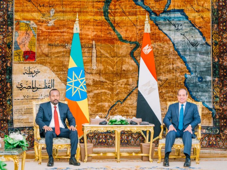 Egypt creates anti-Ethiopia alliance in the Horn of Africa