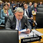 From Delays to Dependence: Understanding the Challenges of Russian NPPs