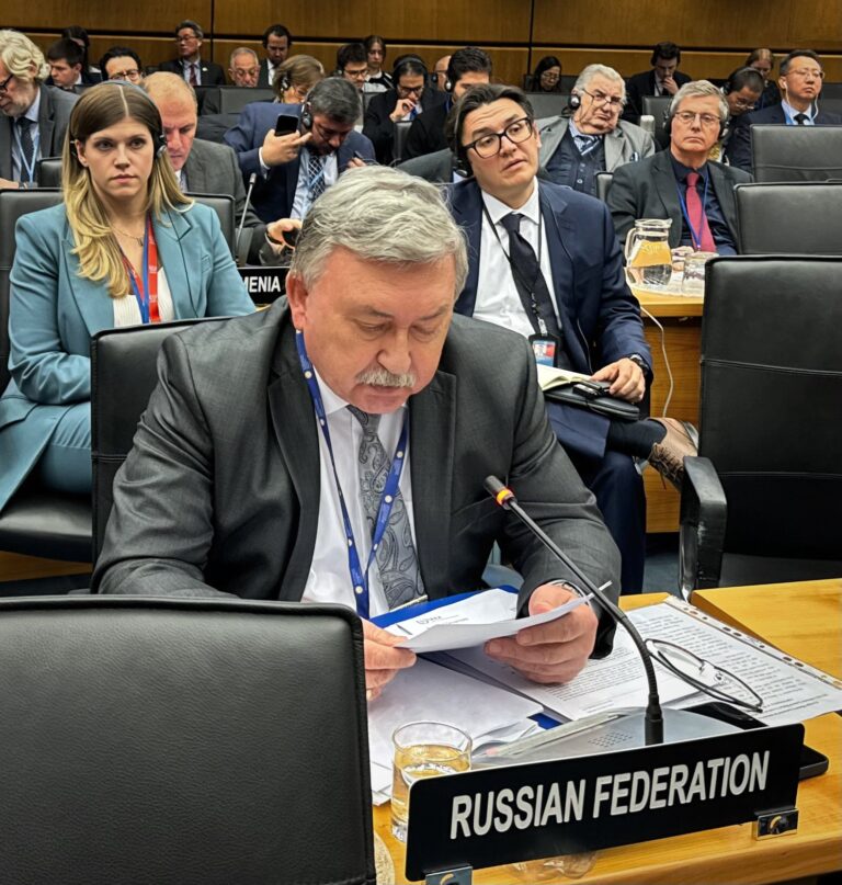 From Delays to Dependence: Understanding the Challenges of Russian NPPs