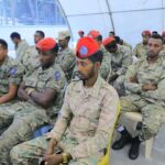 Reasons and prospects for the Amhara Rebellion