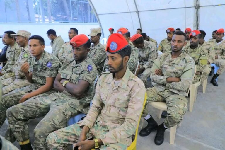 Reasons and prospects for the Amhara Rebellion