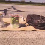 Explosives Near Pipeline in Serbia — Actors, Motives, and Political Implications