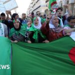 Algeria’s Parliamentary Elections 2026: Stability, Controlled Competition, and the Future of the Tebboune System