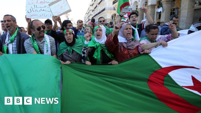 Algeria’s Parliamentary Elections 2026: Stability, Controlled Competition, and the Future of the Tebboune System