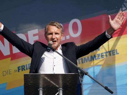 When Radicalism Becomes Politics: The AfD, the “Saxon Separatists,” and the Threat of “Day X”